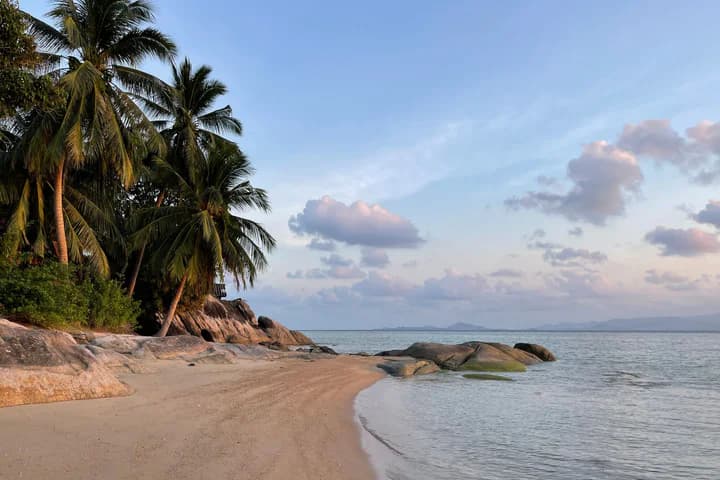 ชายหาดและต้นมะพร้าวบนเกาะสมุย
